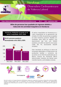 Lee más sobre el artículo Boletín No. 3 – Julio – Septiembre 2025